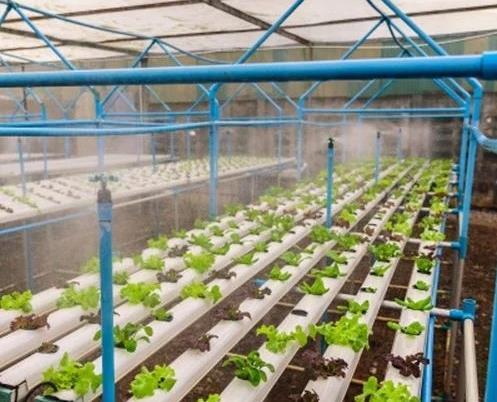 通過霧化加濕噴霧系統(tǒng)控制種植大棚溫室氣候